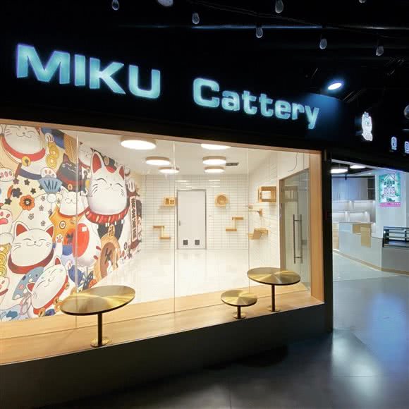 MIKU Cattery 咪酷猫屋·猫咖(新街口莱迪店):南京市秦淮区