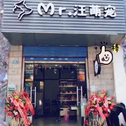 Mr.汪萌宠:南京市秦淮区