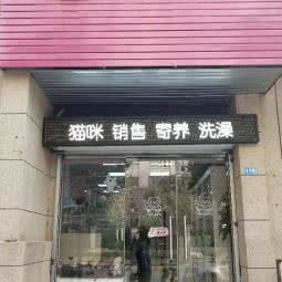 喵球球:南京市鼓楼区