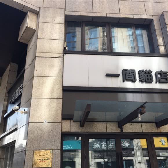 一间猫店:南京市浦口区