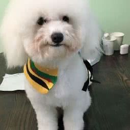 喵不理汪宠物店:南京市雨花台区