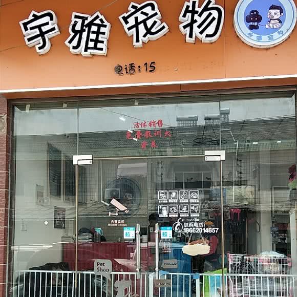 宇雅宠物:南京市江宁区