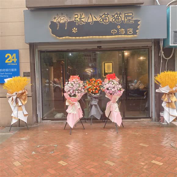 张小猫猫屋(中海国际店):南京市江宁区