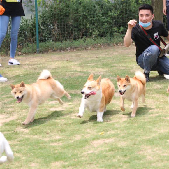 欢乐岛训犬基地:南京市江宁区
