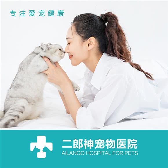 二郎神宠物医院·犬猫免疫点:南京市江宁区