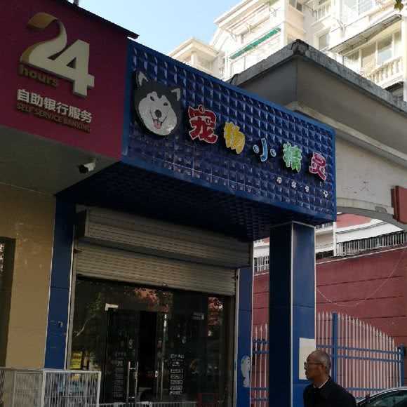 宠物小精灵:南京市六合区