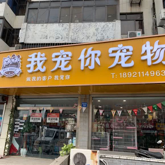 我宠你宠物:无锡市锡山区