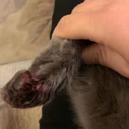 犬心犬意宠物店:无锡市梁溪区