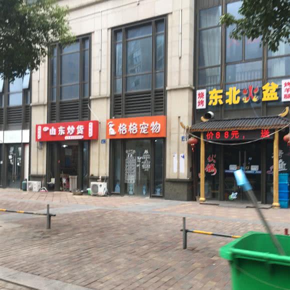 格格宠物:无锡市新吴区