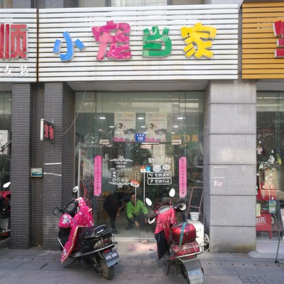 小宠当家:无锡市江阴市