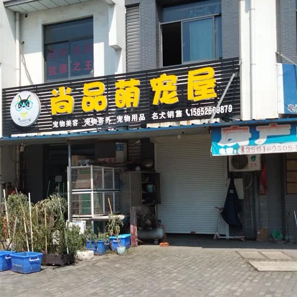 尚品萌宠屋:无锡市江阴市