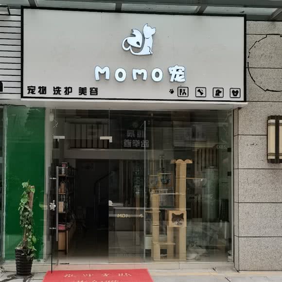 MOMO宠:无锡市江阴市