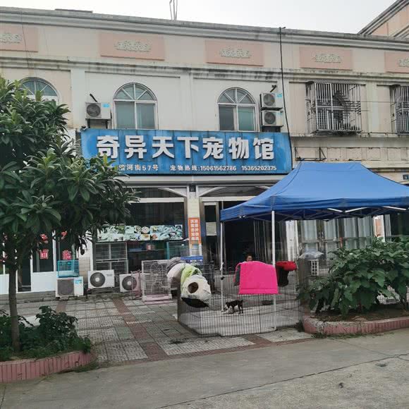 奇异天下宠物馆:无锡市江阴市