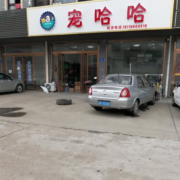 宠哈哈:无锡市江阴市