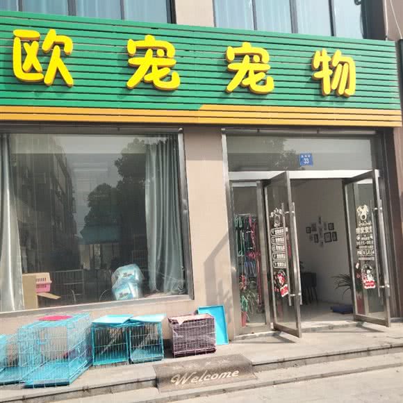 欧宠宠物:无锡市江阴市