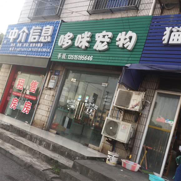 哆咪宠物:无锡市江阴市