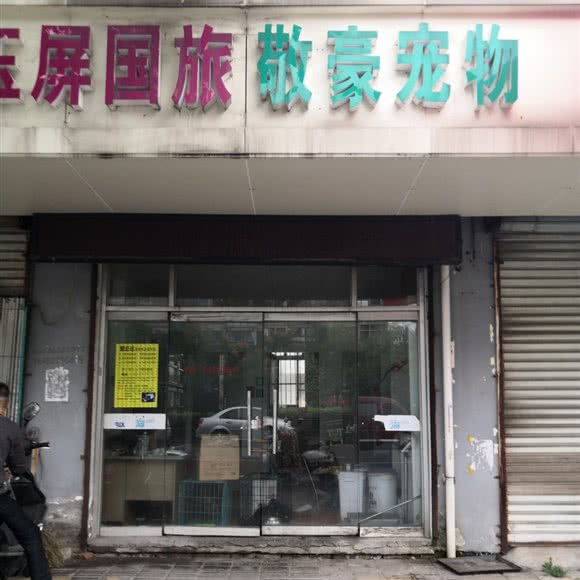 敬豪宠物:无锡市江阴市