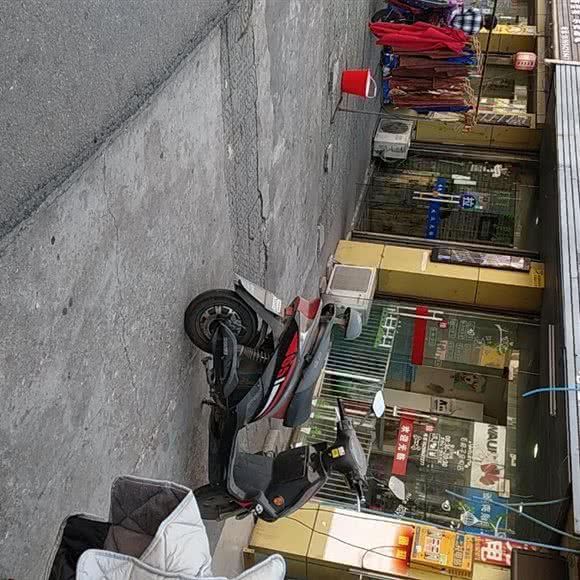 毛孩子宠物店:无锡市江阴市