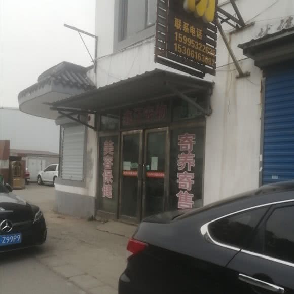 鑫汪宠物:无锡市江阴市