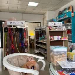 派特斯宠物店:无锡市江阴市