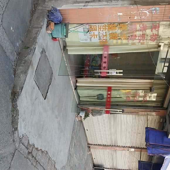 语妍宠物店:无锡市江阴市