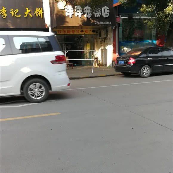 洋洋宠物店:无锡市江阴市