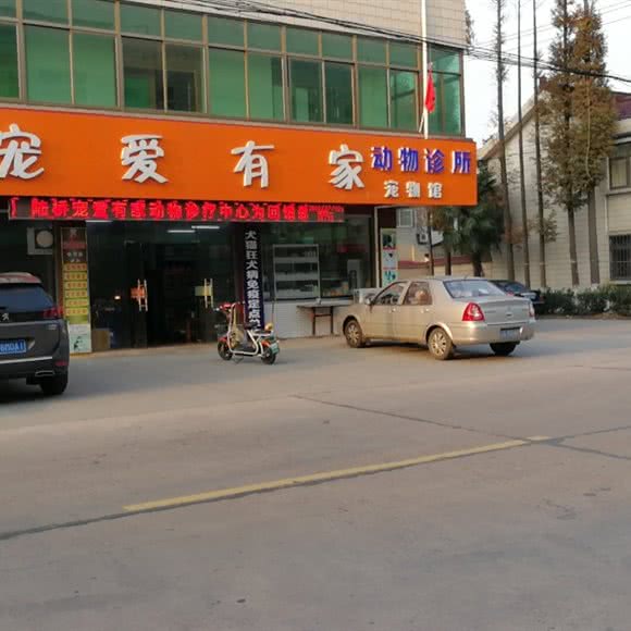 宠爱有家宠物馆:无锡市江阴市