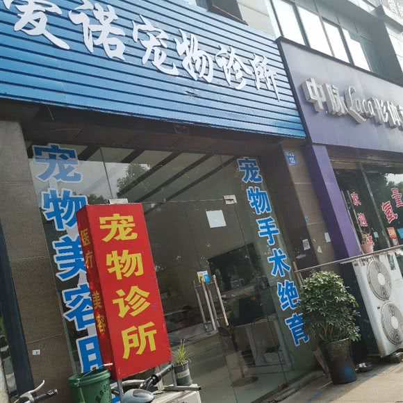 爱诺宠物诊所:无锡市江阴市