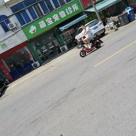 萌宝宠物诊所:无锡市江阴市
