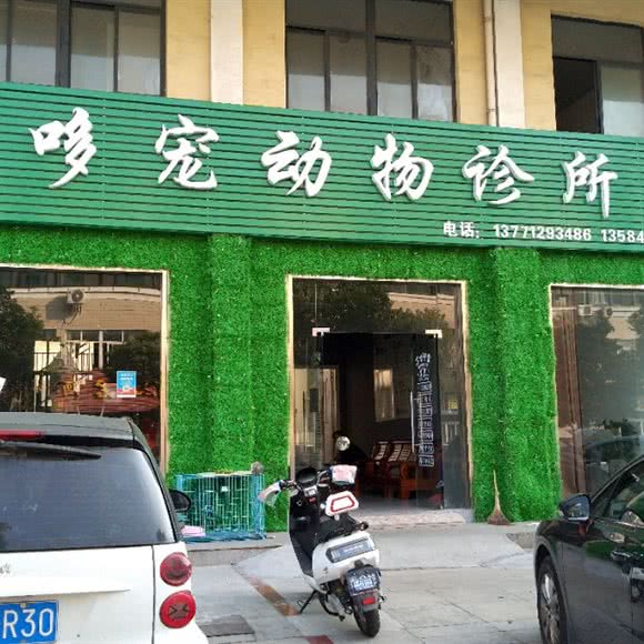 哆宠动物诊所:无锡市江阴市