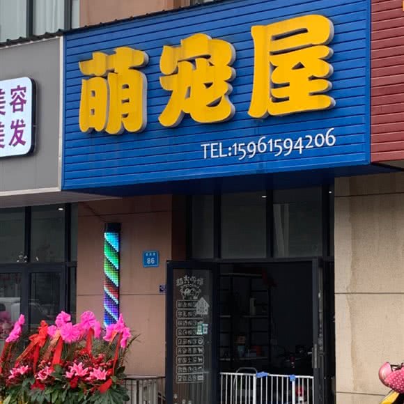 萌宠屋:无锡市宜兴市
