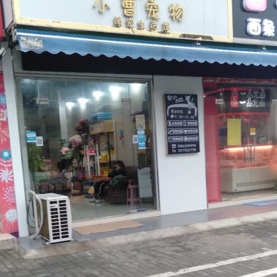 小曹宠物:无锡市宜兴市