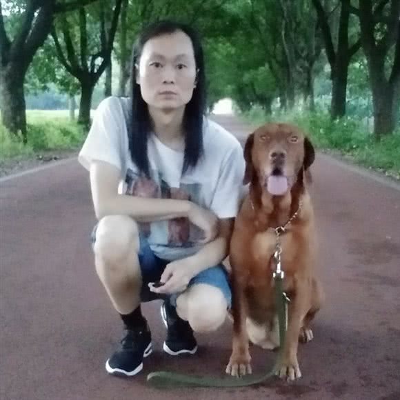木木训犬:无锡市宜兴市