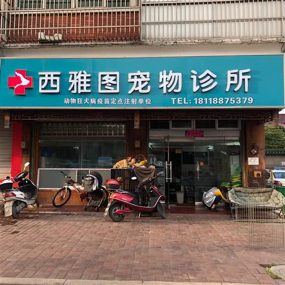 西雅图宠物诊所:无锡市宜兴市