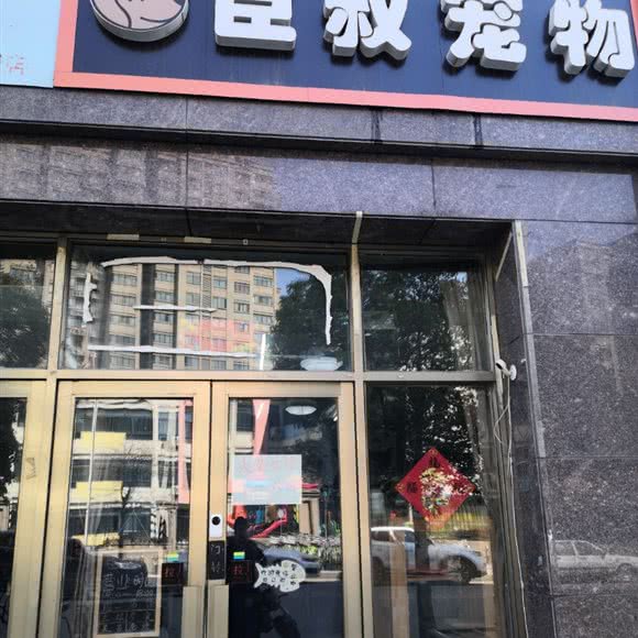 臣叔宠物:徐州市鼓楼区