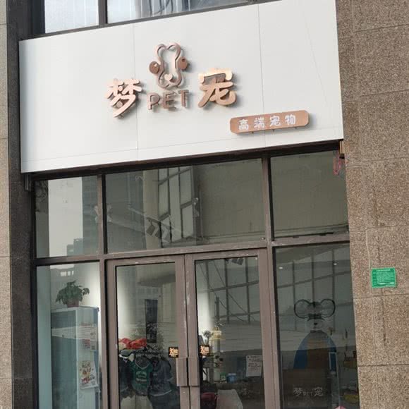 梦宠高端宠物:徐州市丰县