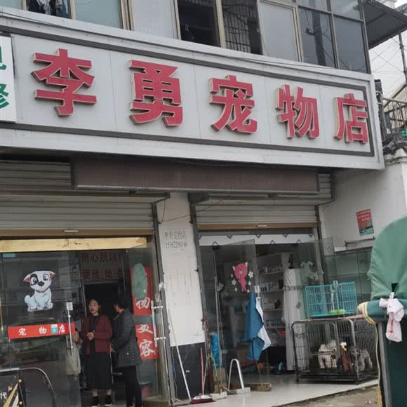 李勇宠物店:徐州市丰县