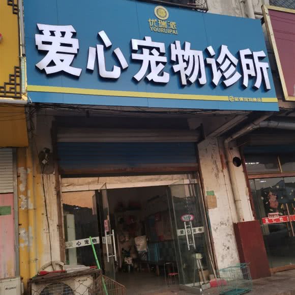 优瑞派爱心宠物诊所:徐州市丰县