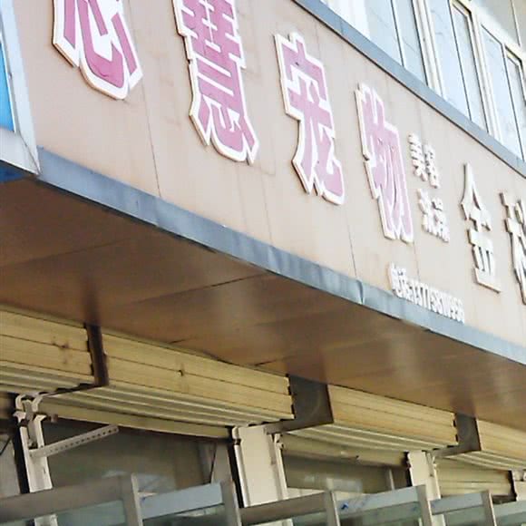 志慧宠物:徐州市沛县