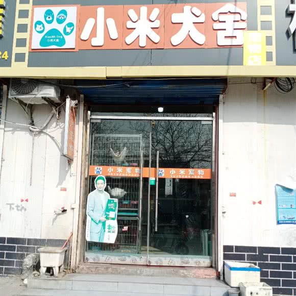 小米犬舍:徐州市沛县