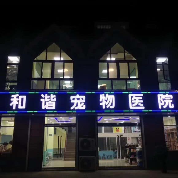 和谐宠物医院:徐州市沛县