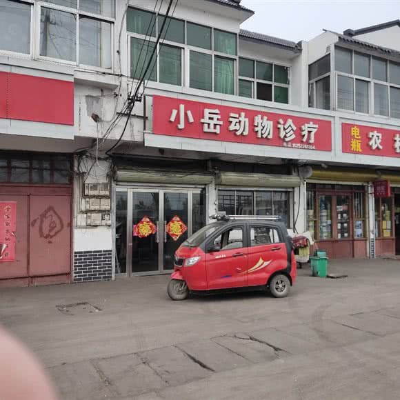 小岳动物诊疗:徐州市沛县