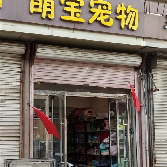 萌宝宠物:徐州市睢宁县