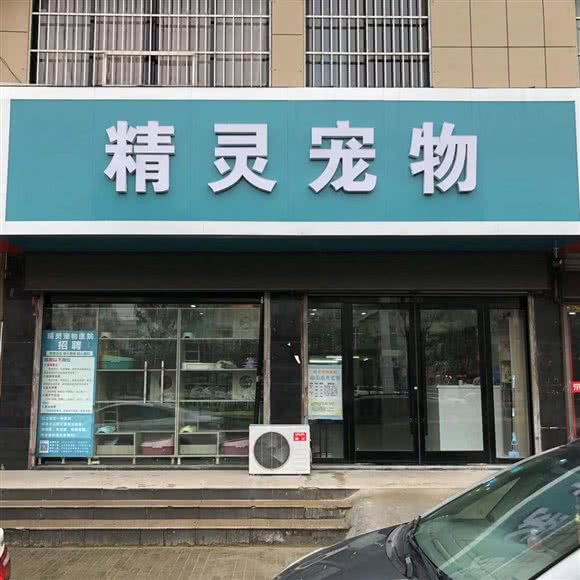 精灵宠物(红叶店):徐州市睢宁县