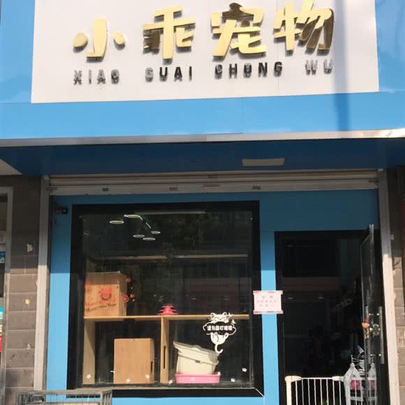 小乖宠物:徐州市睢宁县