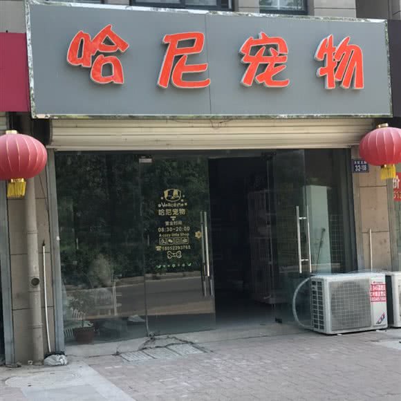 哈尼宠物:徐州市睢宁县
