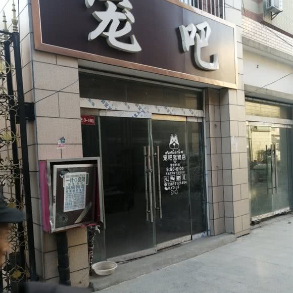 宠吧:徐州市睢宁县