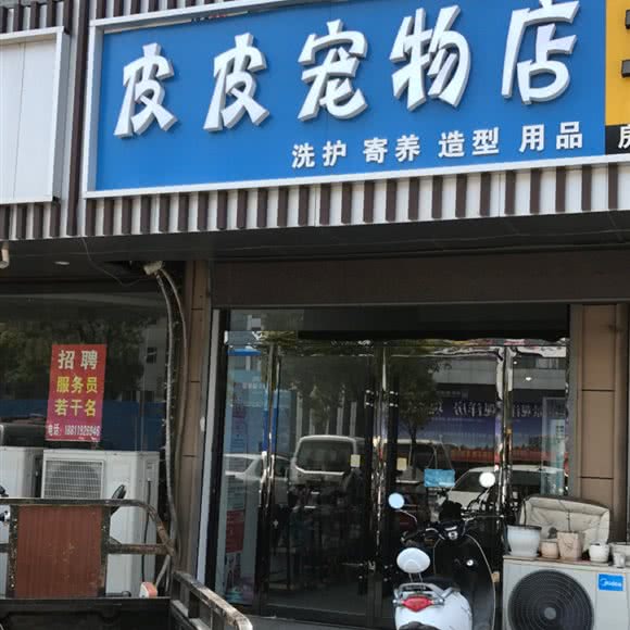 皮皮面包店:徐州市睢宁县