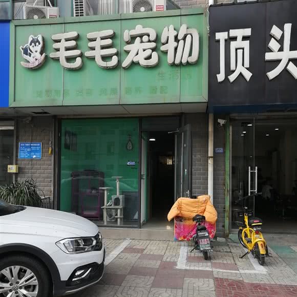 毛毛宠物狗:徐州市新沂市