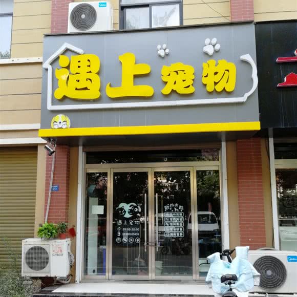 遇上宠物:徐州市新沂市